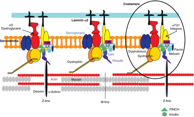 Figure 16