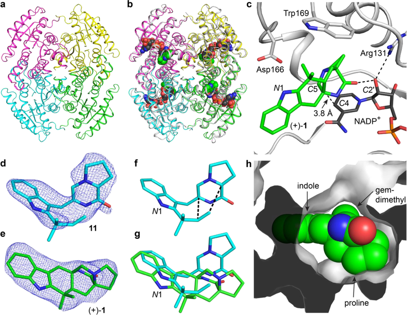 Figure 4.