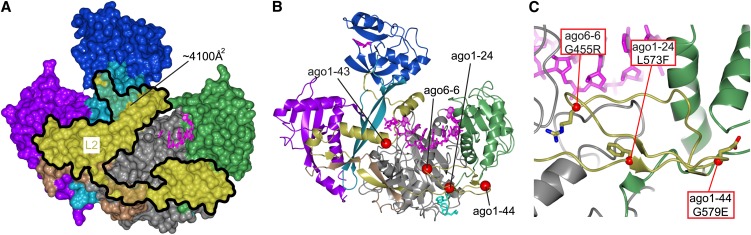 Figure 4.