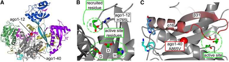 Figure 7.