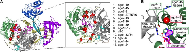 Figure 5.