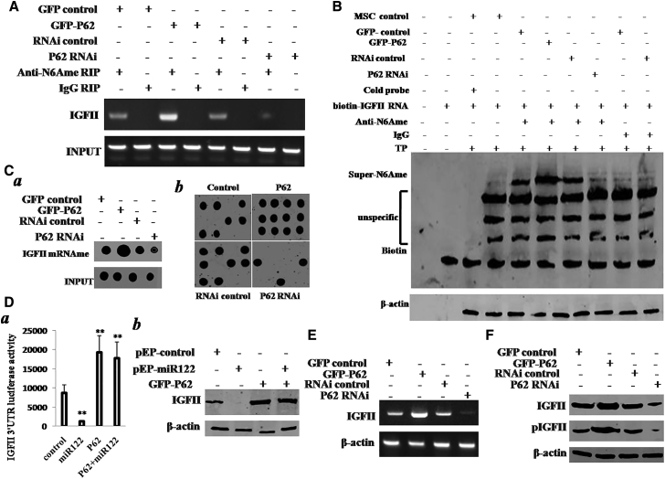 Figure 5