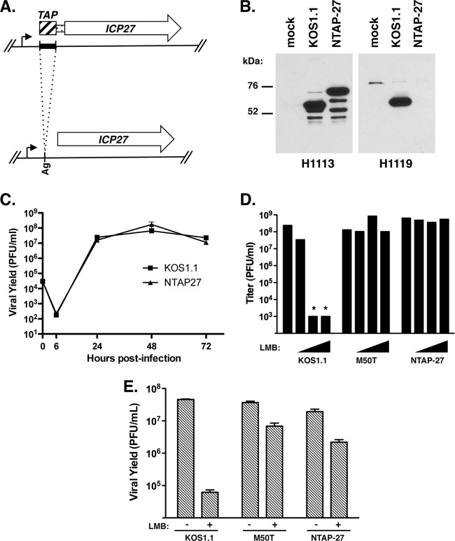 Fig 5