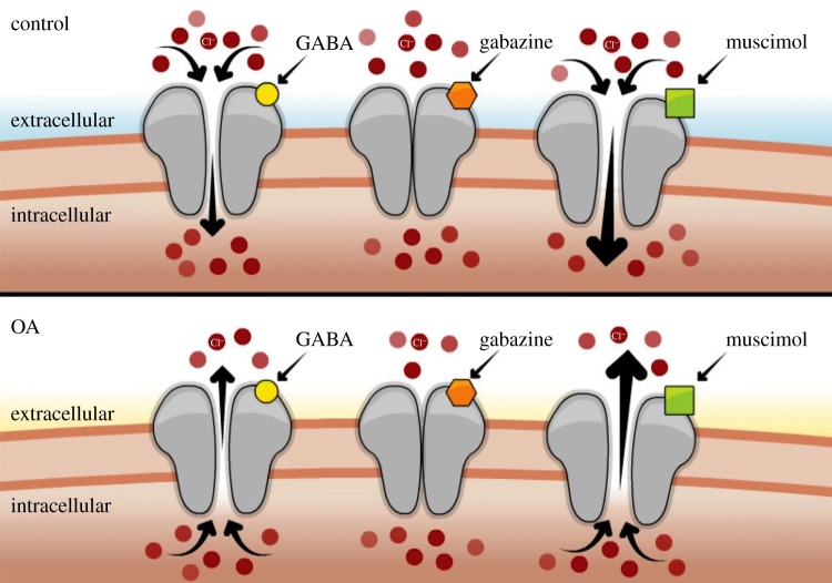 Figure 3.