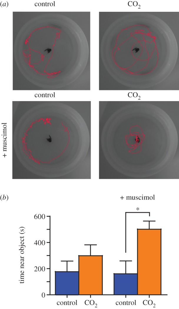 Figure 2.