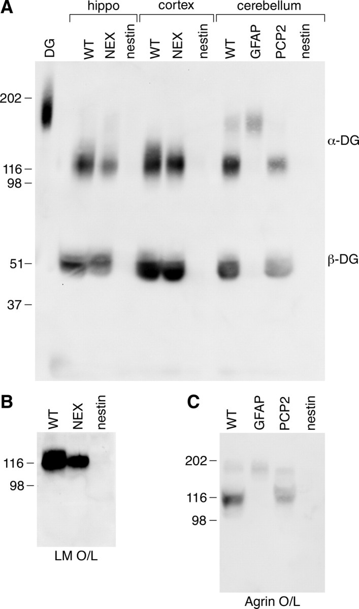 Figure 10.