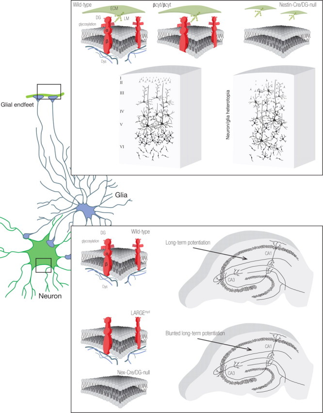 Figure 11.