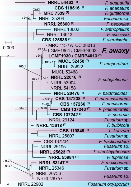 graphic file with name per-43-223-g077.jpg