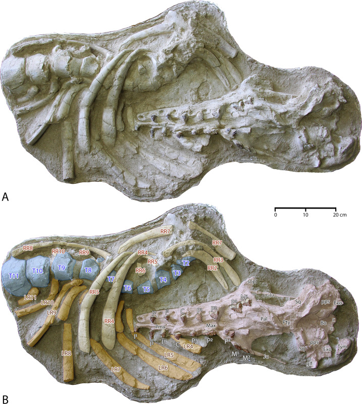 Fig 5