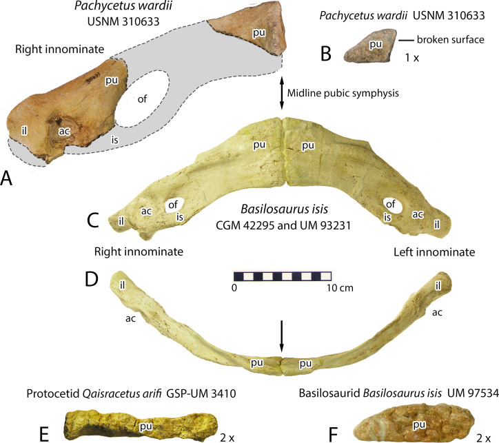 Fig 13