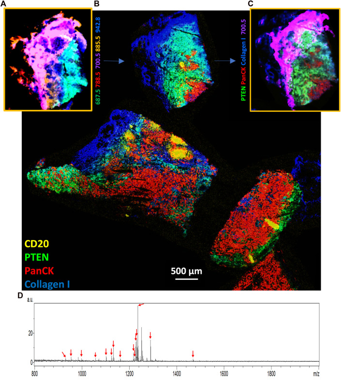 FIGURE 3