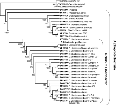 FIG. 1.