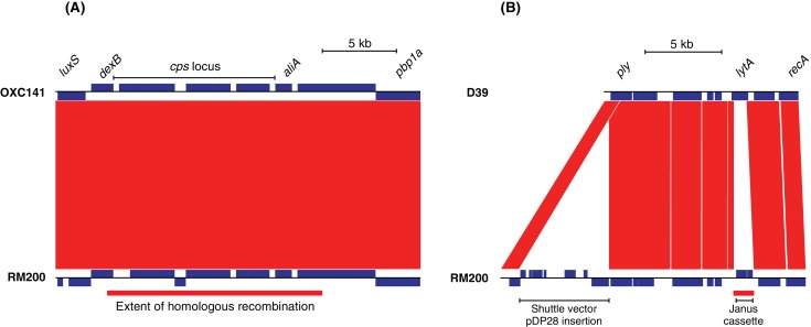 Figure 1—figure supplement 1.