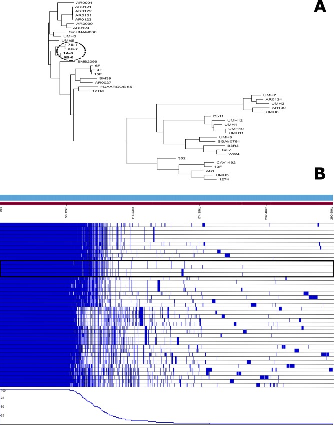 Fig 6