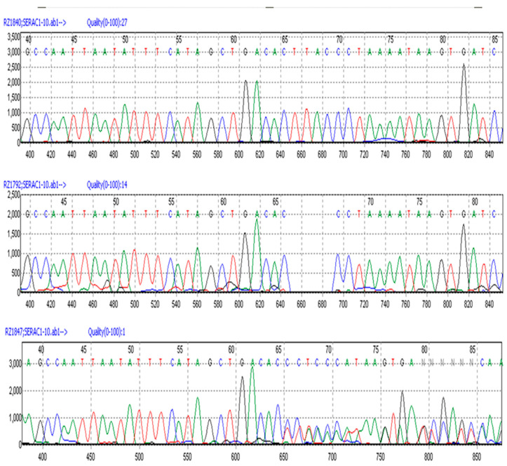 Figure 7