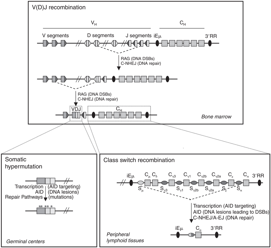 FIGURE 4.1