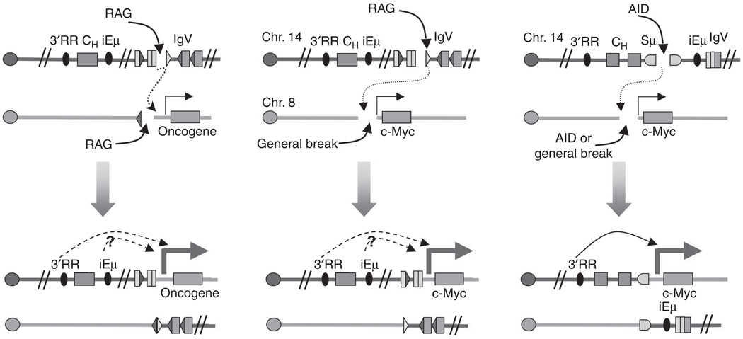 FIGURE 4.5