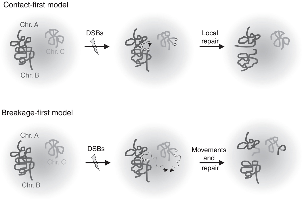 FIGURE 4.4