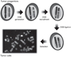 FIGURE 4.3