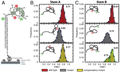 Fig. 2.