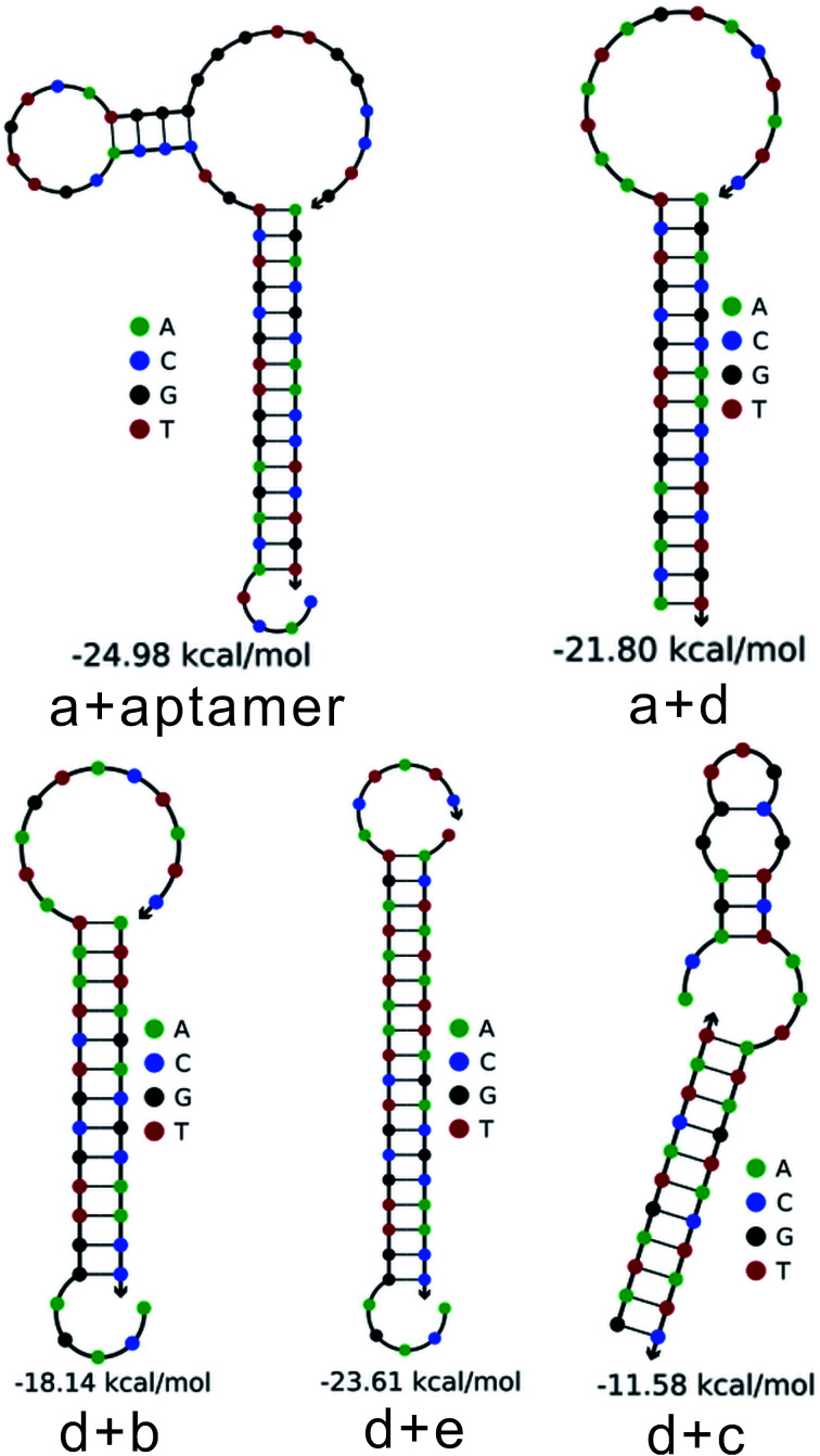 Fig. 2