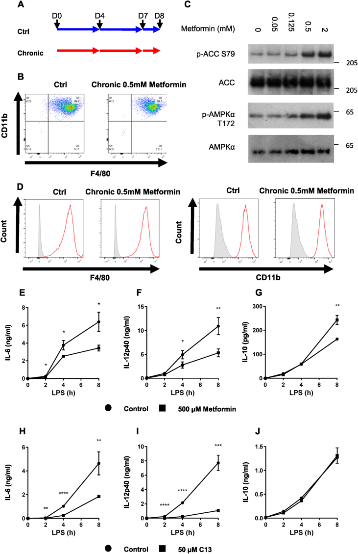 Figure 5