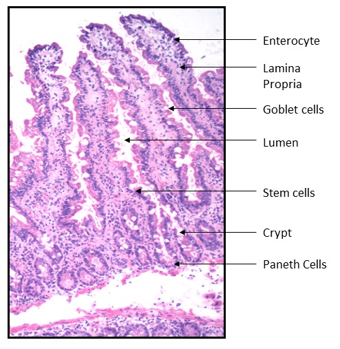 Figure 1.