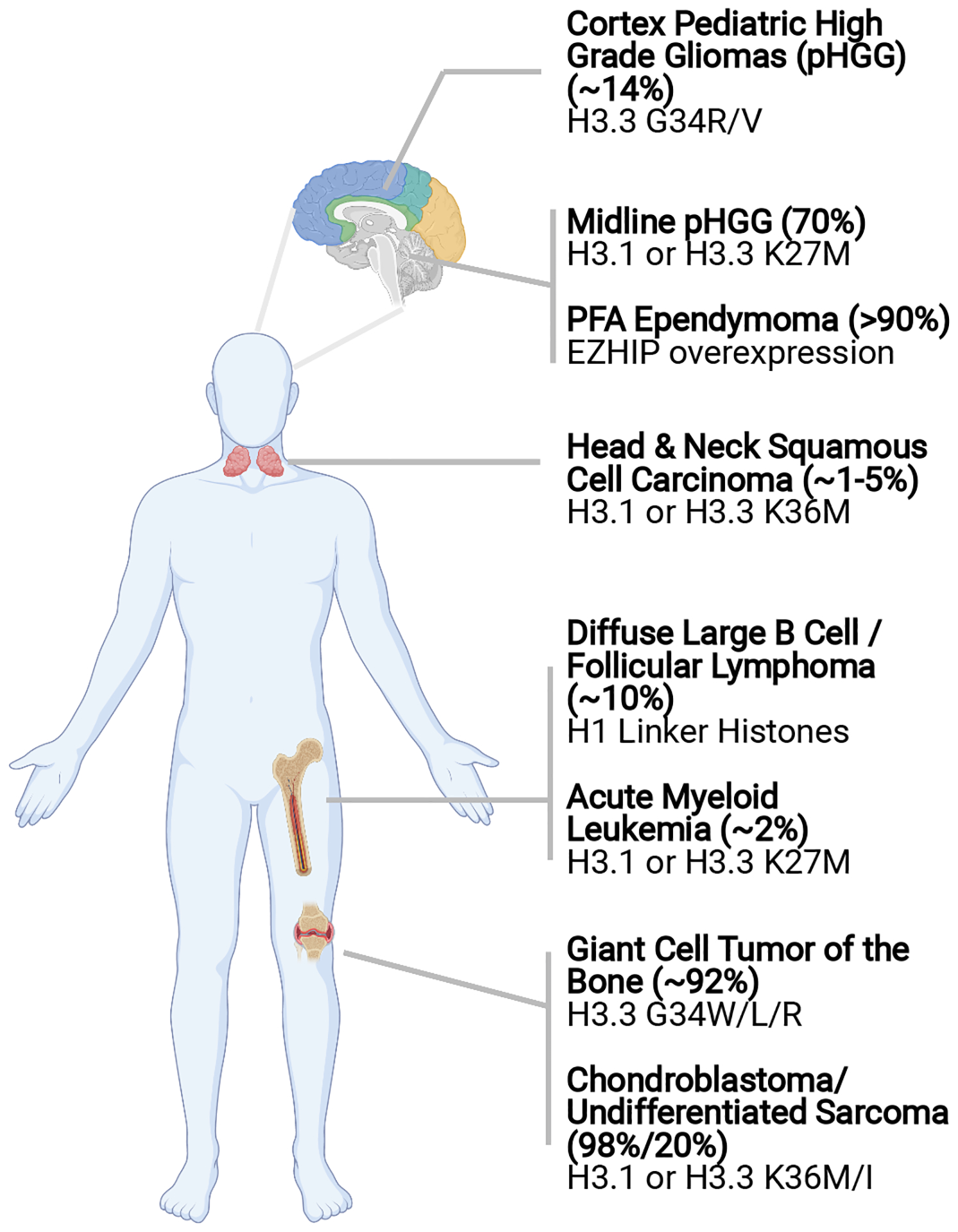 Figure 1: