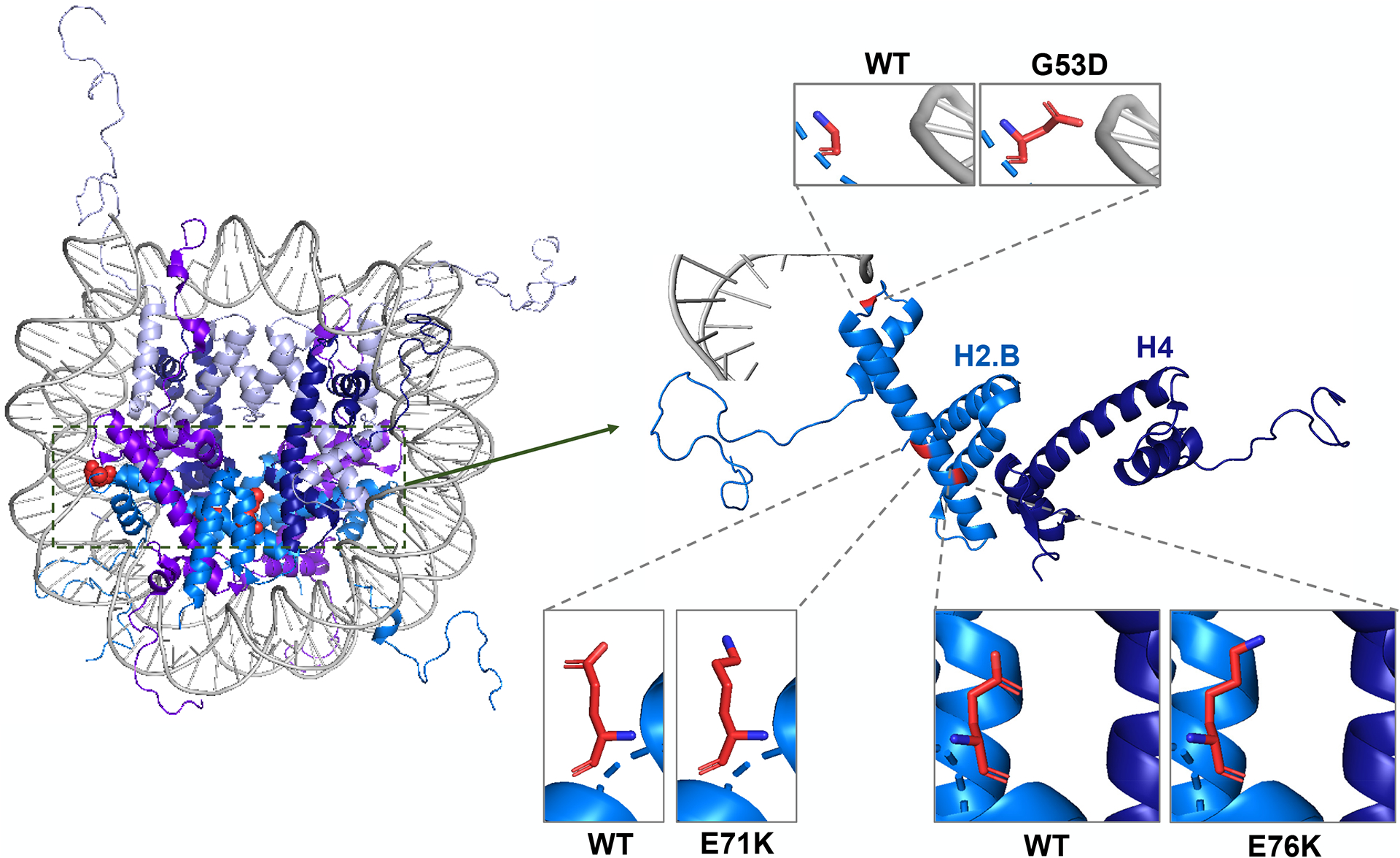 Figure 3: