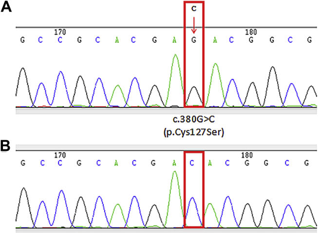 Figure 1