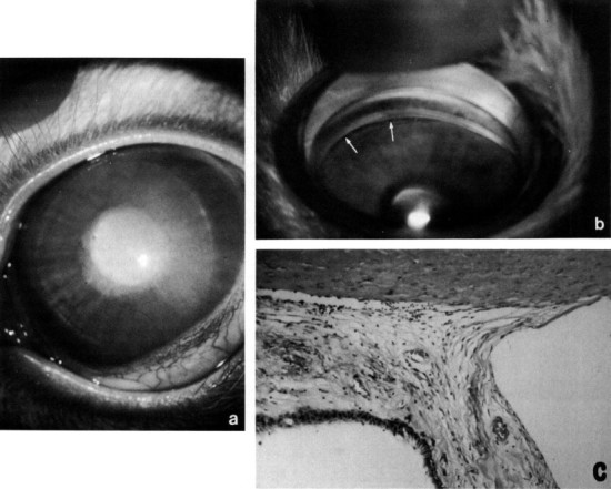 Fig. 10