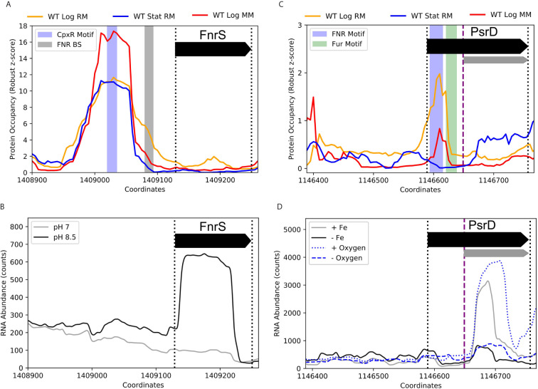 Figure 10