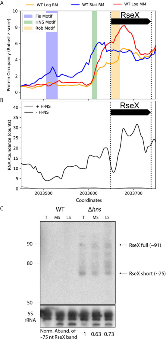 Figure 5