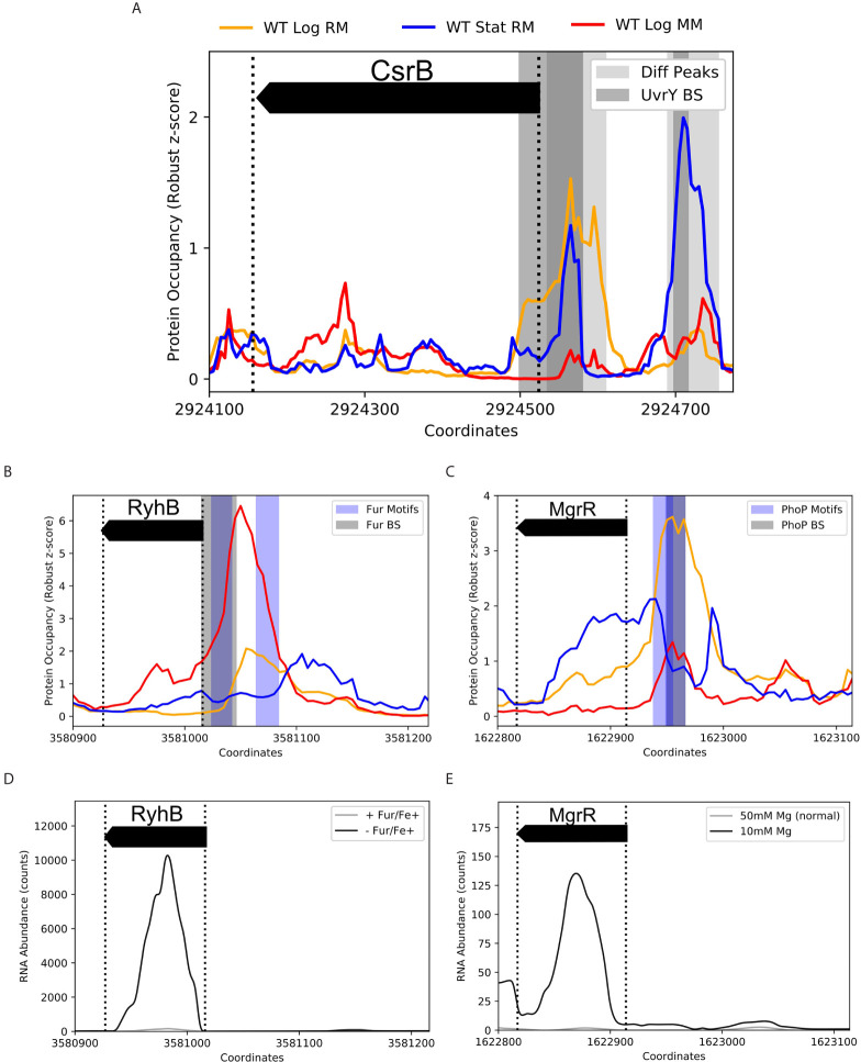 Figure 4