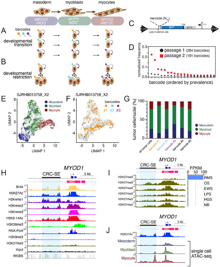 Figure 4: