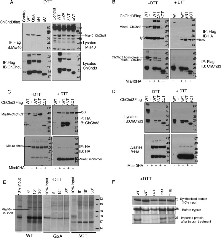 FIGURE 2.