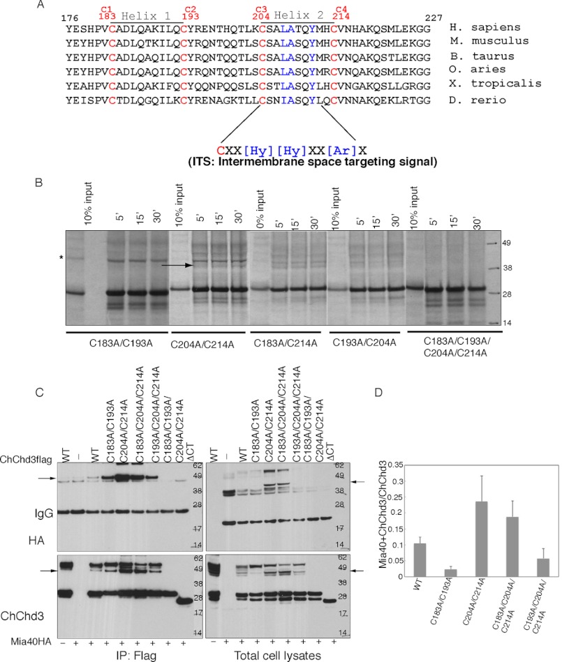 FIGURE 3.