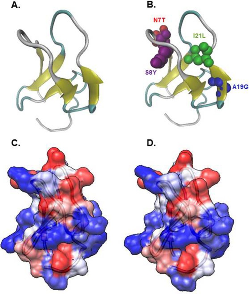 FIGURE 3.