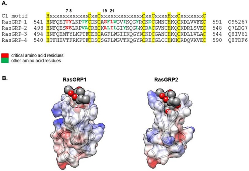 FIGURE 1.