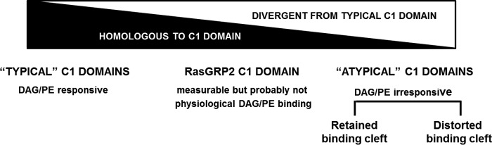 FIGURE 12.