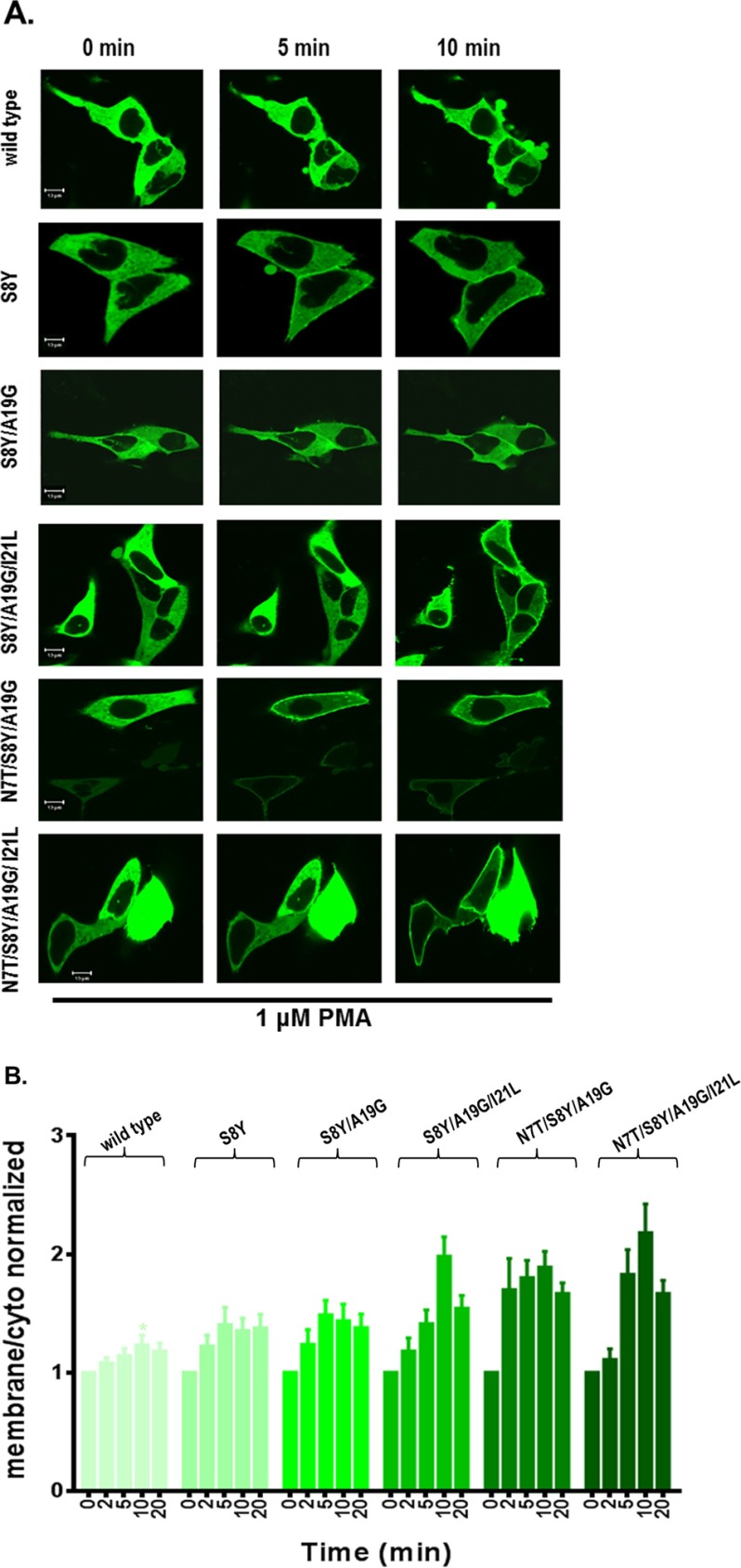 FIGURE 6.