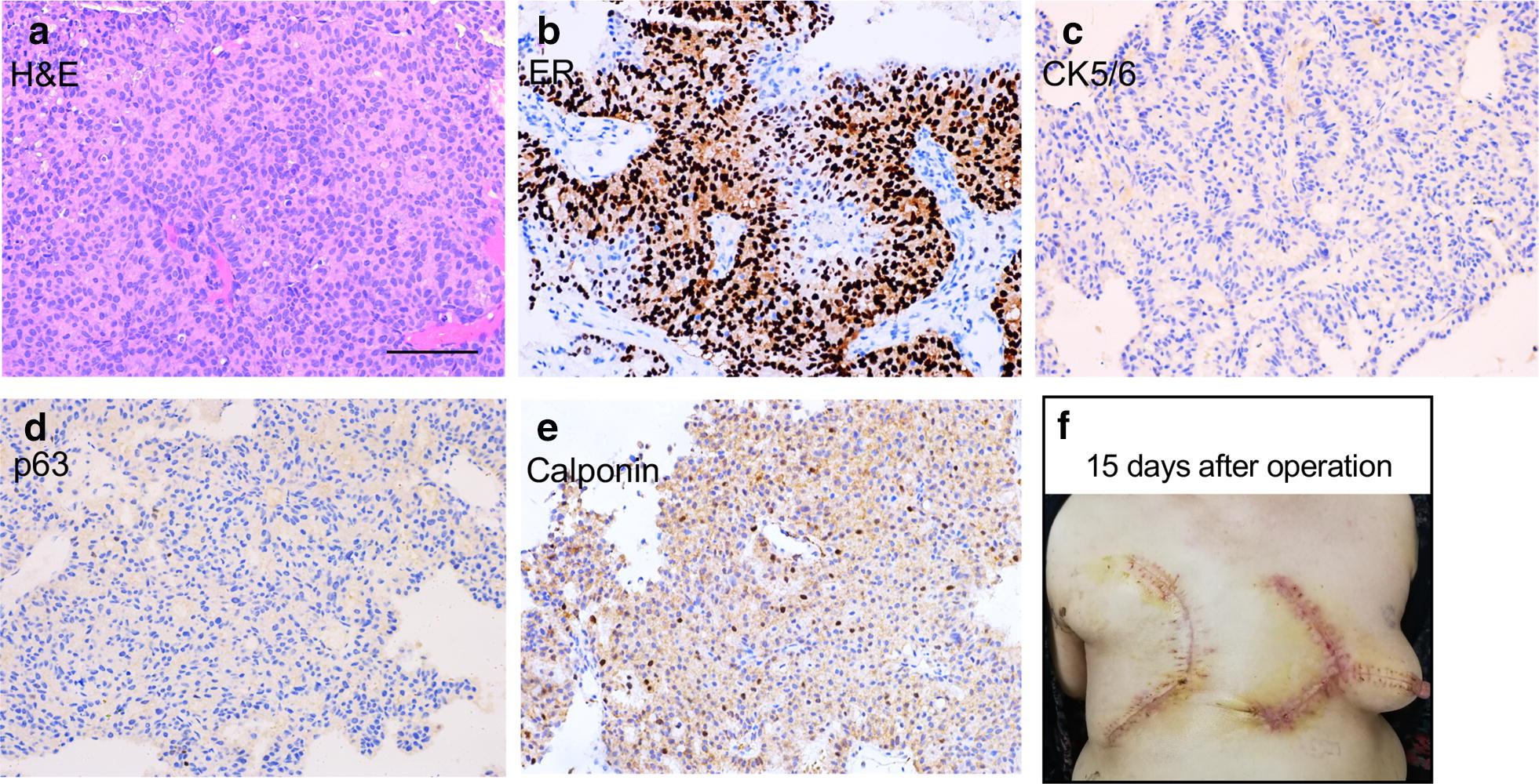 Fig. 2