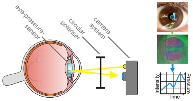 Fig. 12