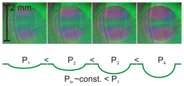 Fig. 9