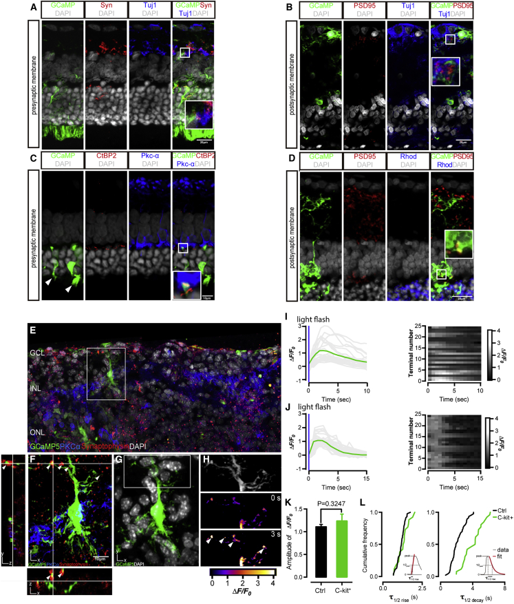 Figure 4