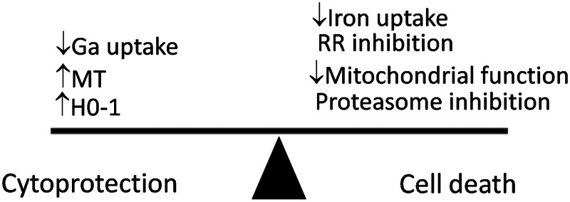 FIG. 5.