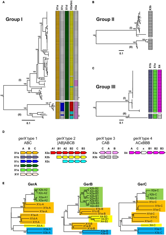 FIGURE 1