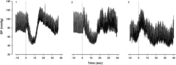 Fig. 4