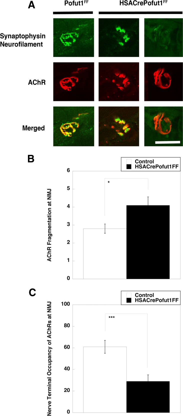 FIG 14