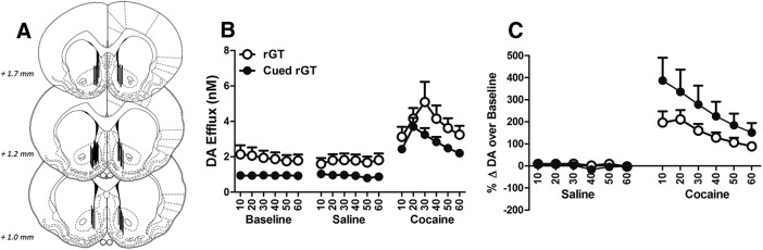 Figure 7.